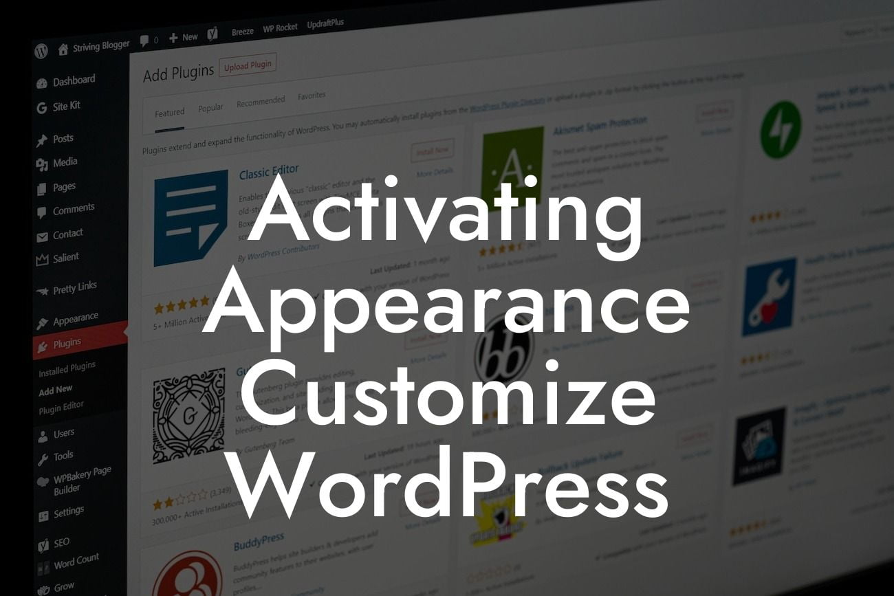 Activating Appearance Customize WordPress