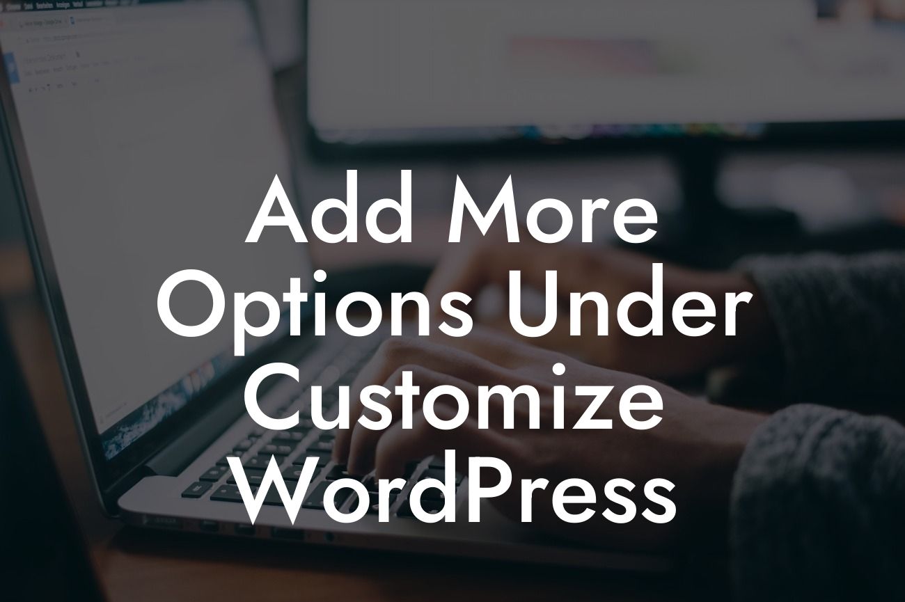 Add More Options Under Customize WordPress