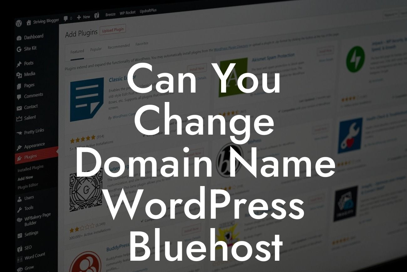 Can You Change Domain Name WordPress Bluehost