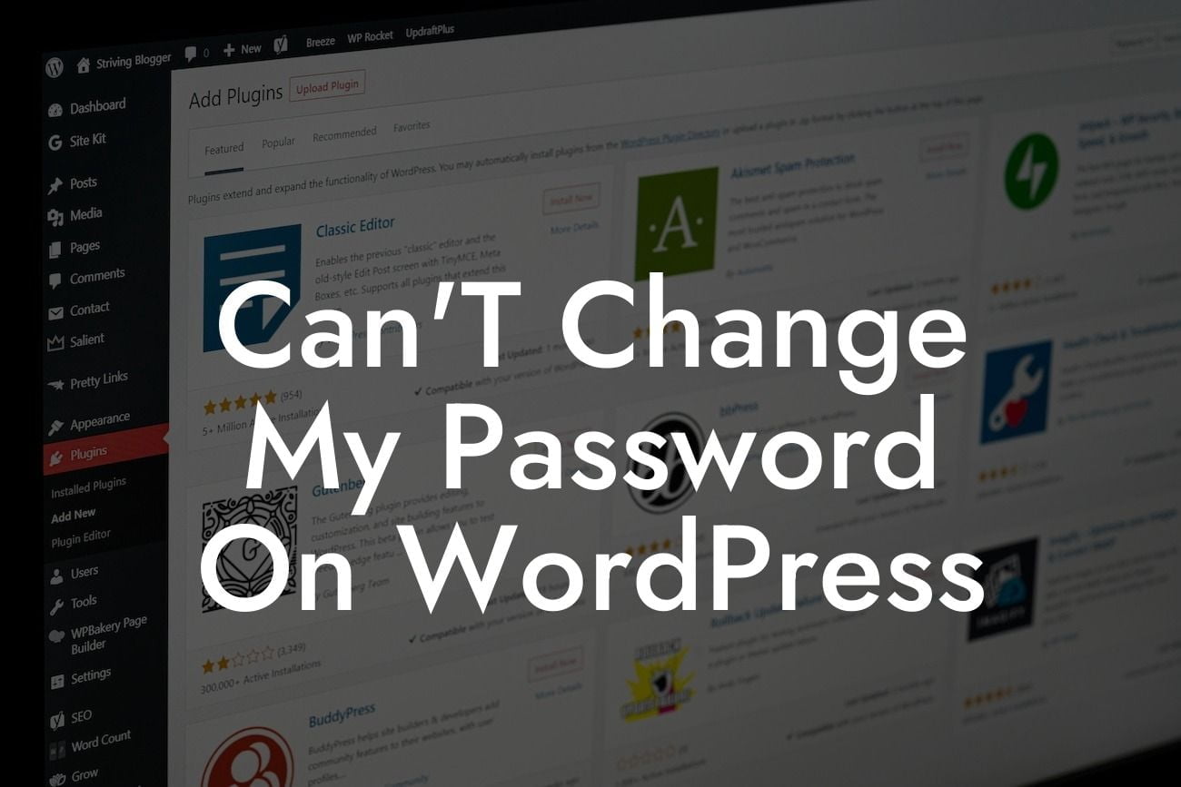 Can'T Change My Password On WordPress