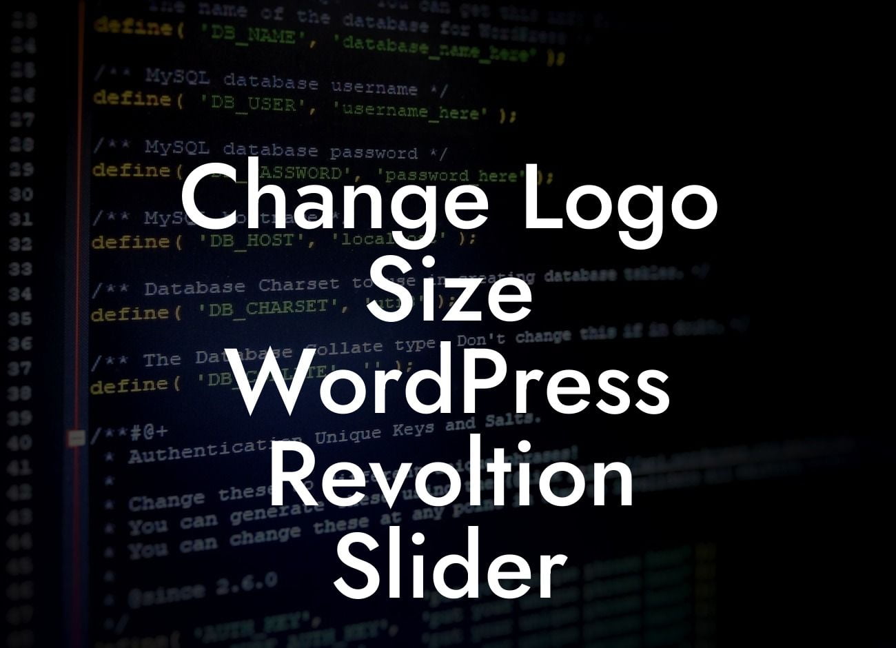 Change Logo Size WordPress Revoltion Slider