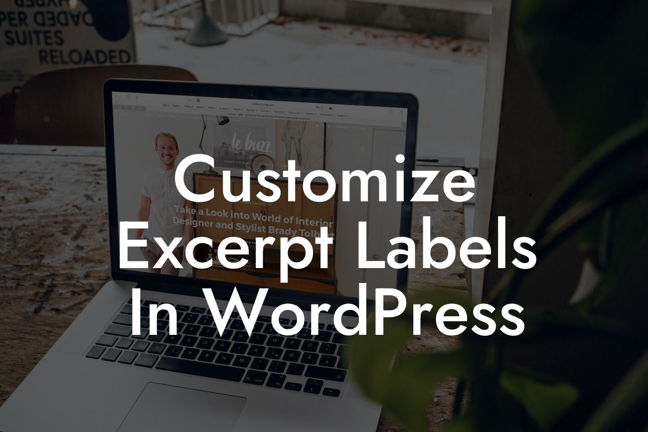 Customize Excerpt Labels In WordPress