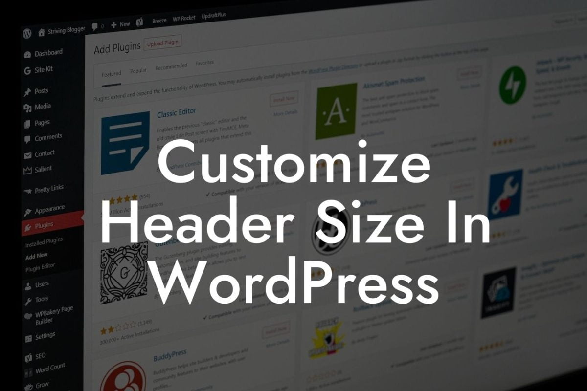 Customize Header Size In WordPress
