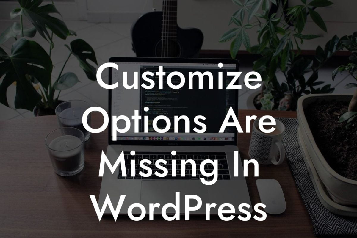 Customize Options Are Missing In WordPress