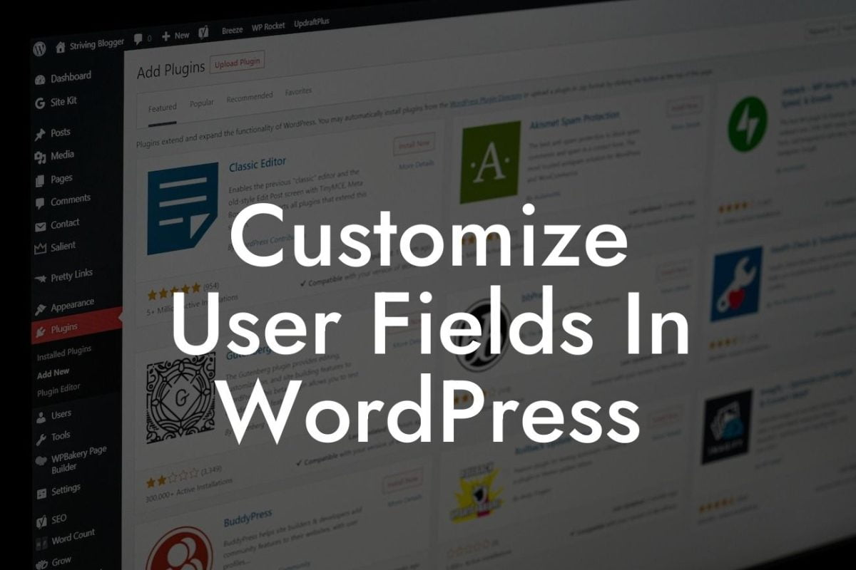 Customize User Fields In WordPress