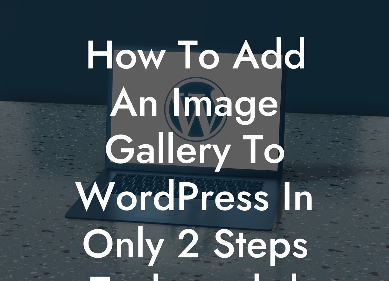 How To Add An Image Gallery To WordPress In Only 2 Steps Techxprobd