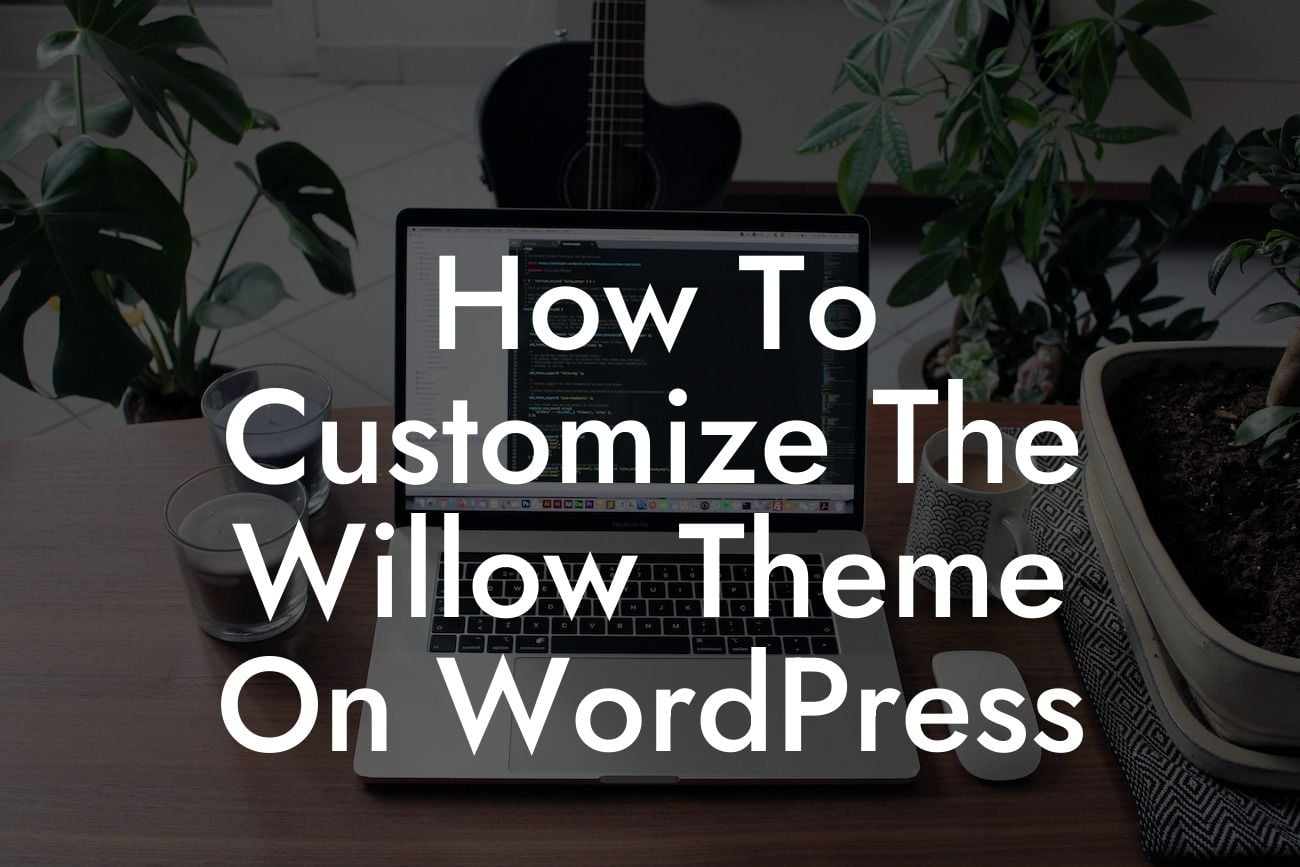 How To Customize The Willow Theme On WordPress