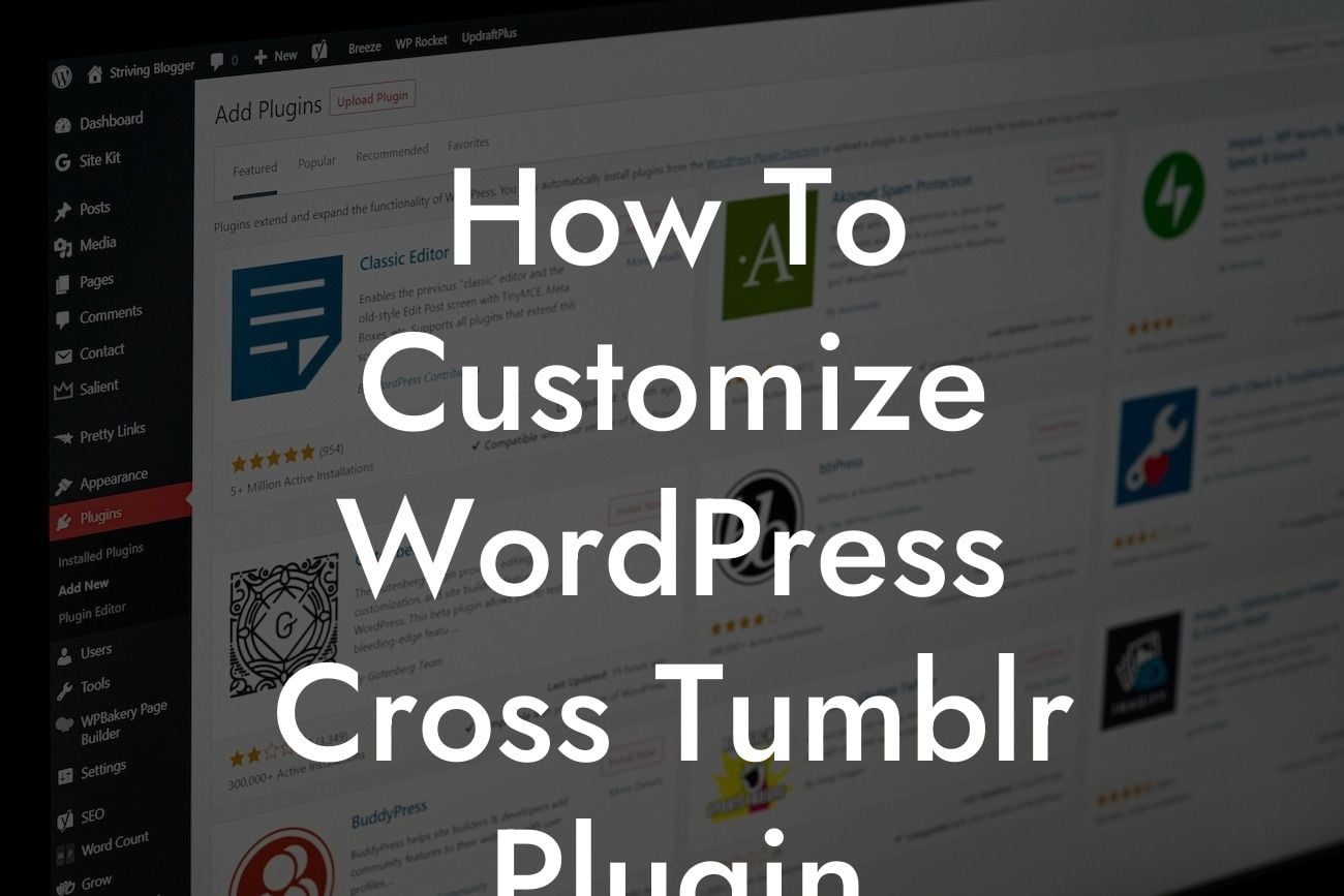 How To Customize WordPress Cross Tumblr Plugin