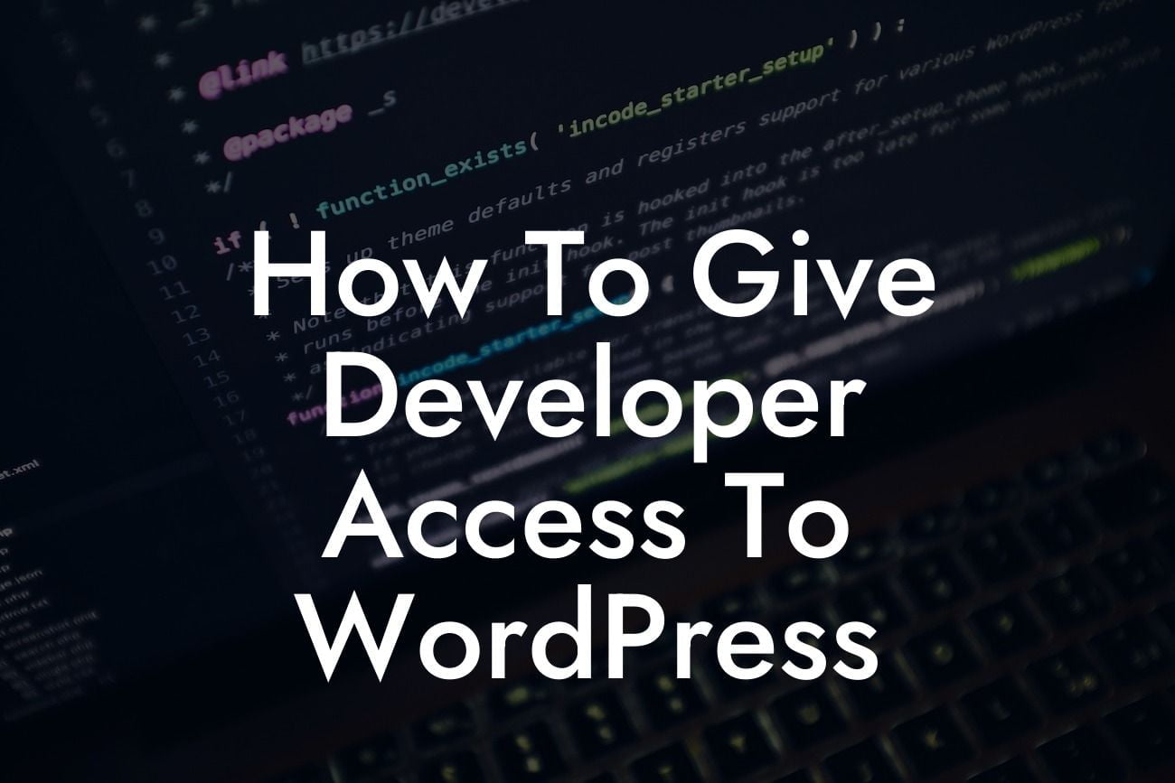How To Give Developer Access To WordPress