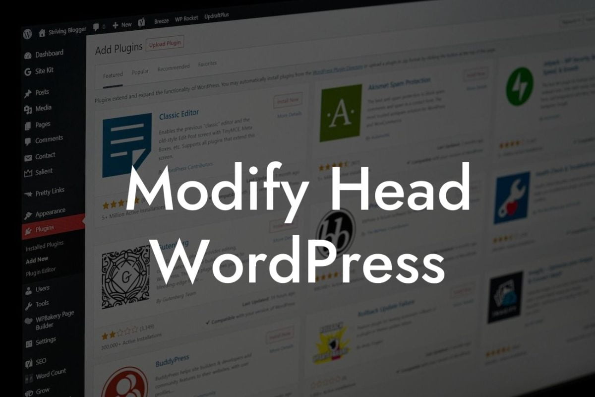 Modify Head WordPress