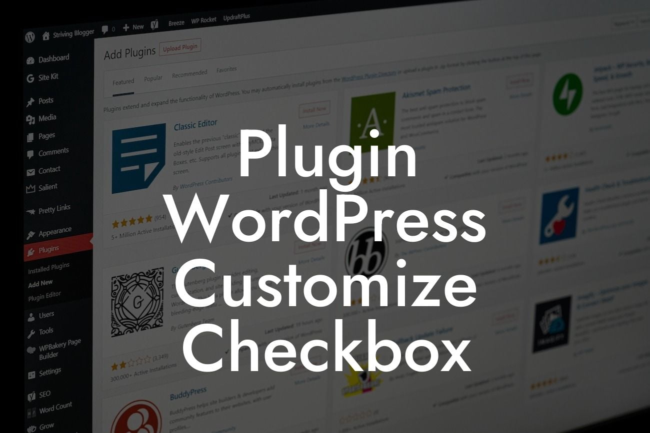 Plugin WordPress Customize Checkbox