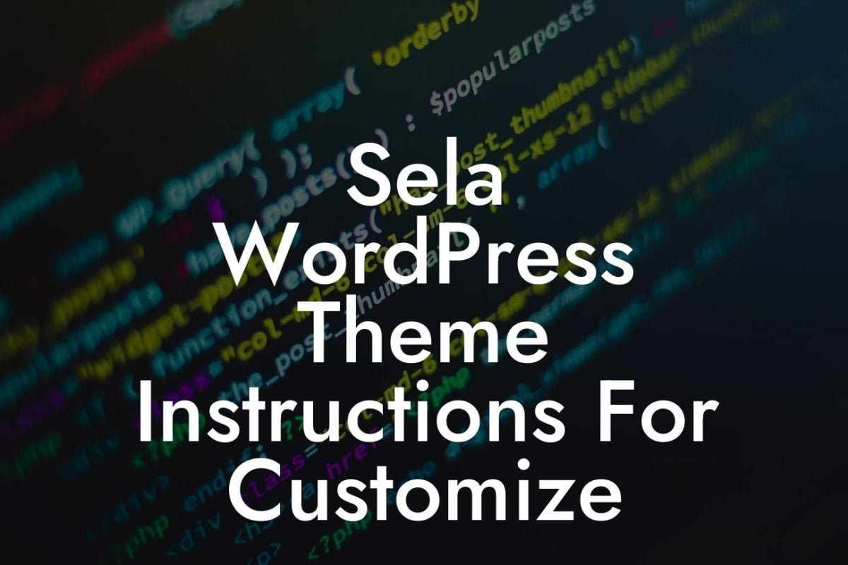 Sela WordPress Theme Instructions For Customize