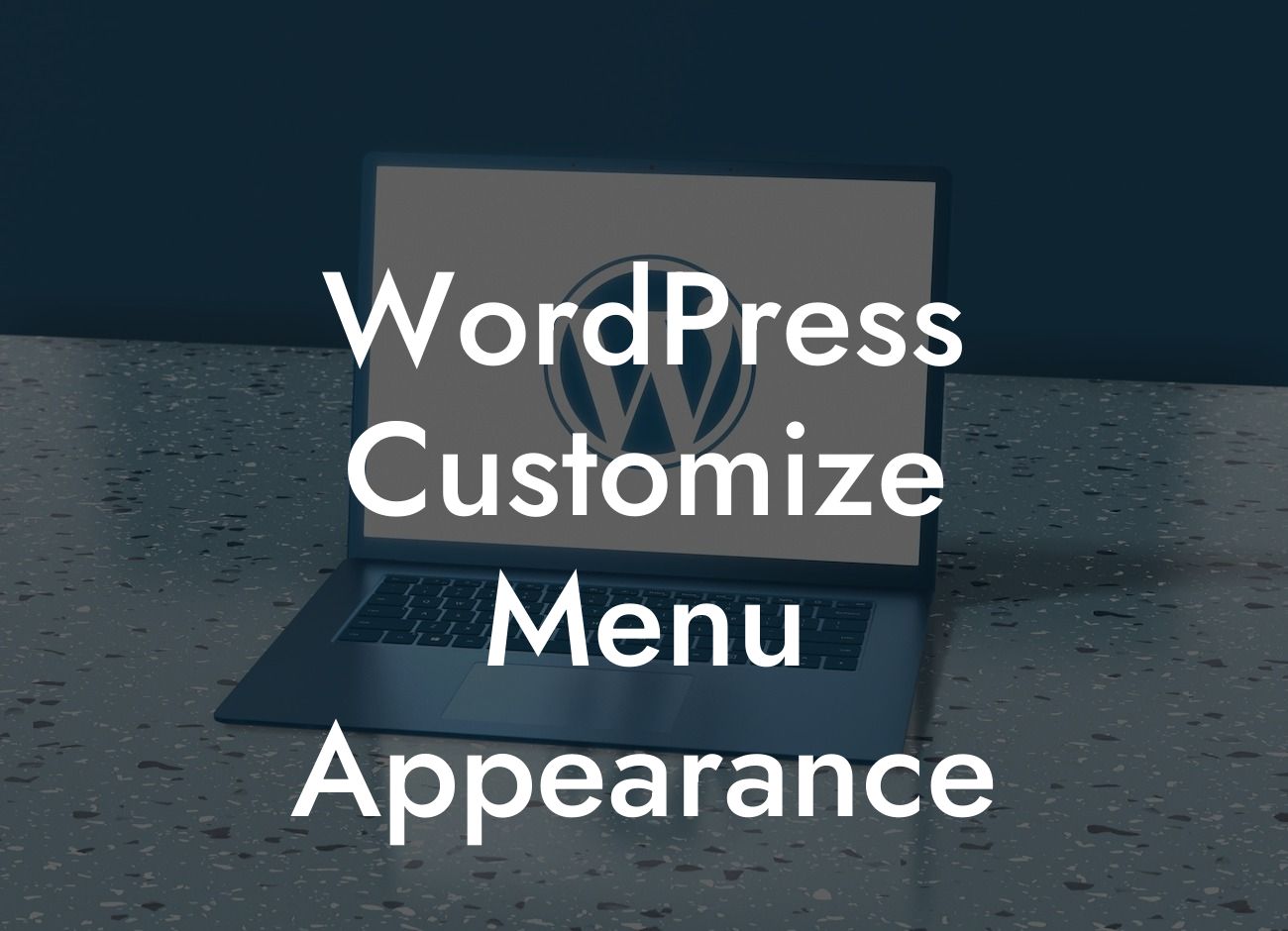 WordPress Customize Menu Appearance