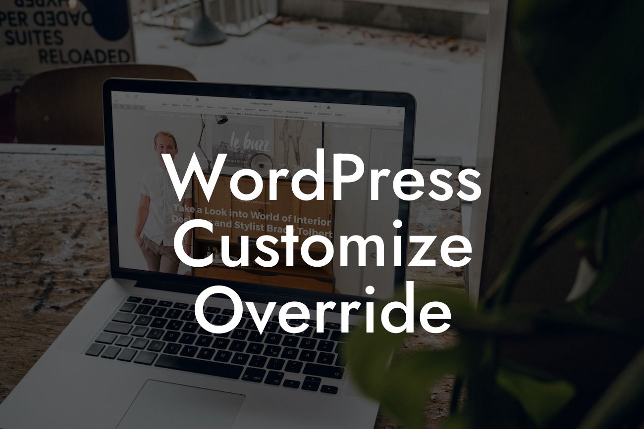 WordPress Customize Override