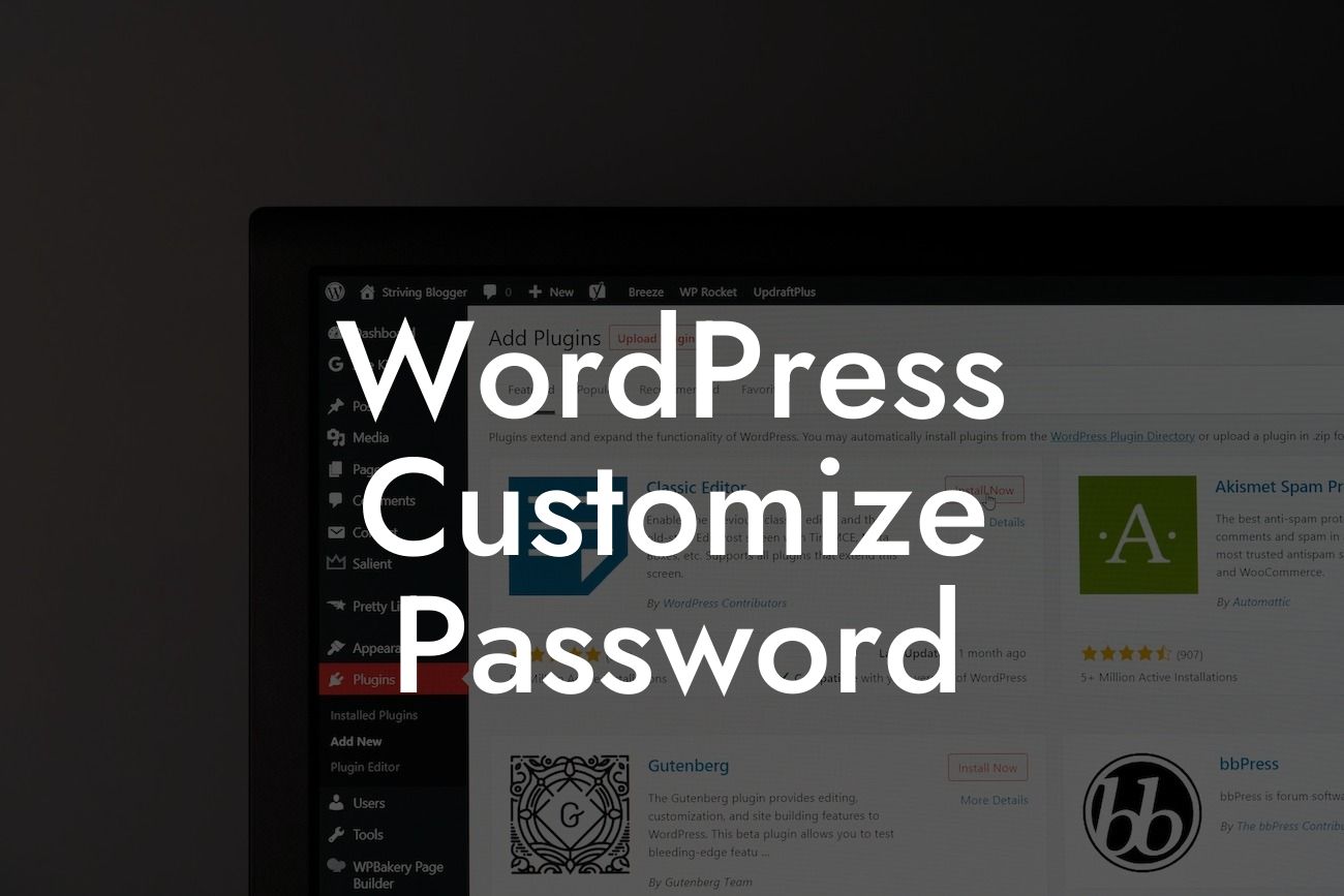 WordPress Customize Password