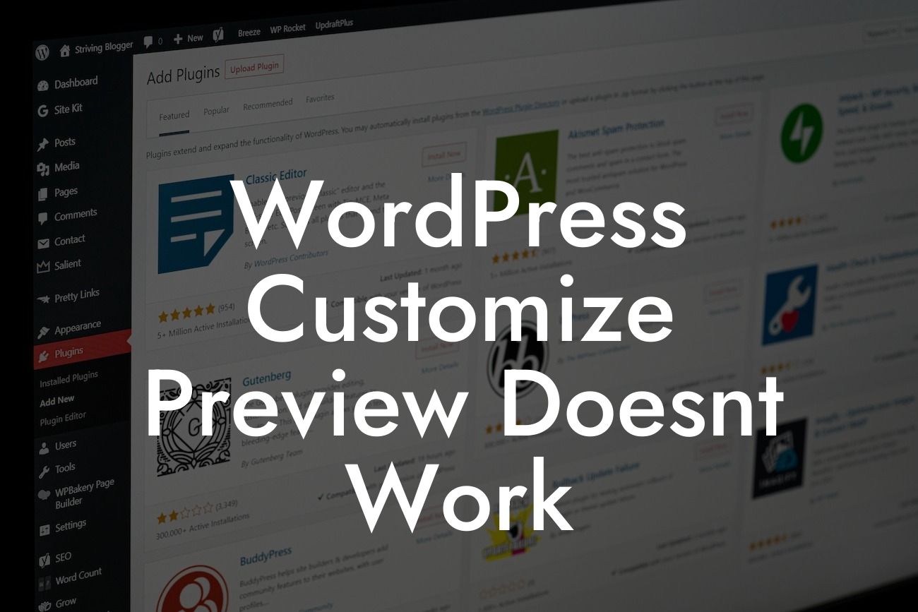 WordPress Customize Preview Doesnt Work