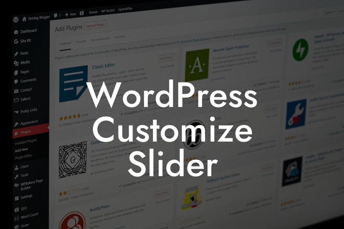 WordPress Customize Slider