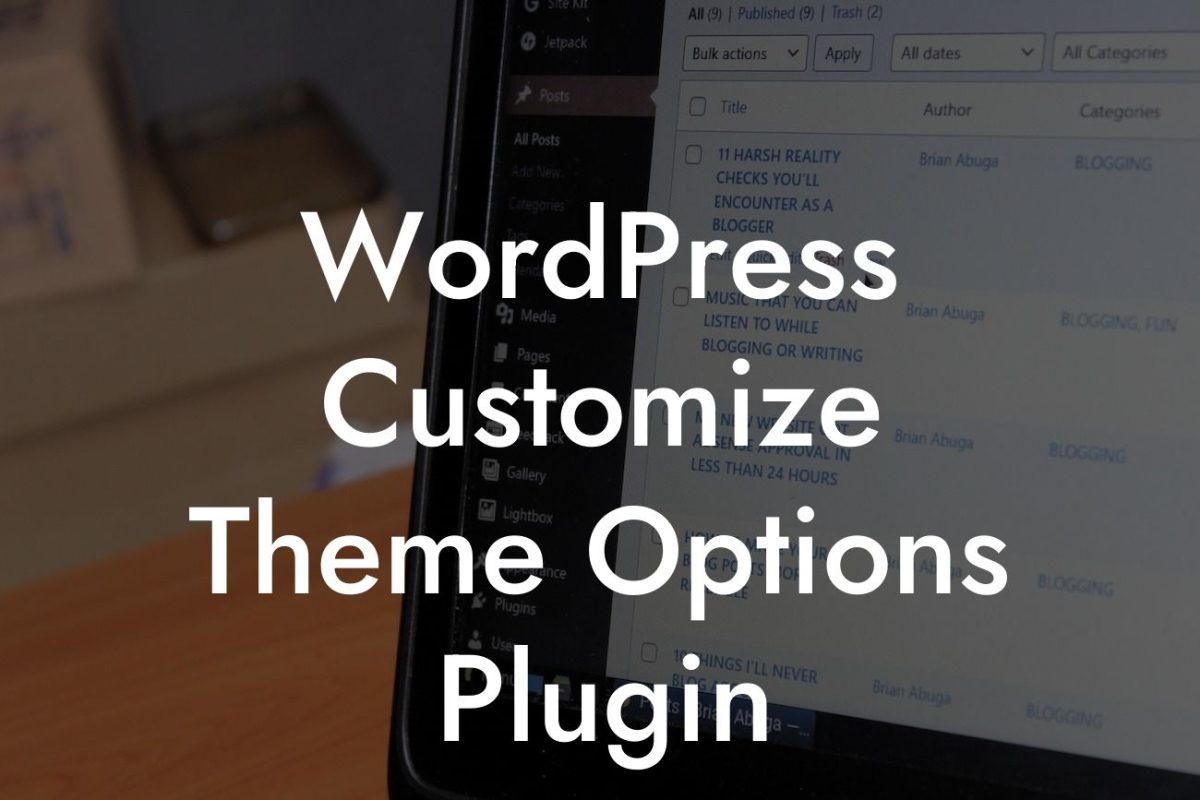 WordPress Customize Theme Options Plugin