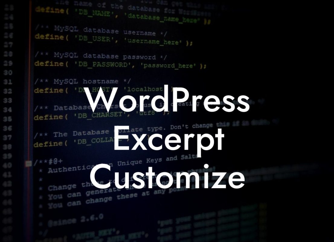 WordPress Excerpt Customize