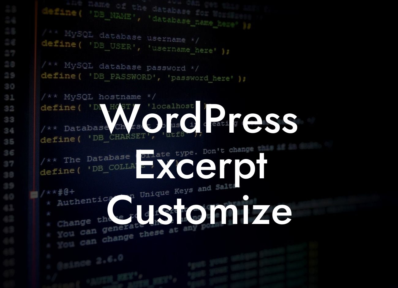 WordPress Excerpt Customize