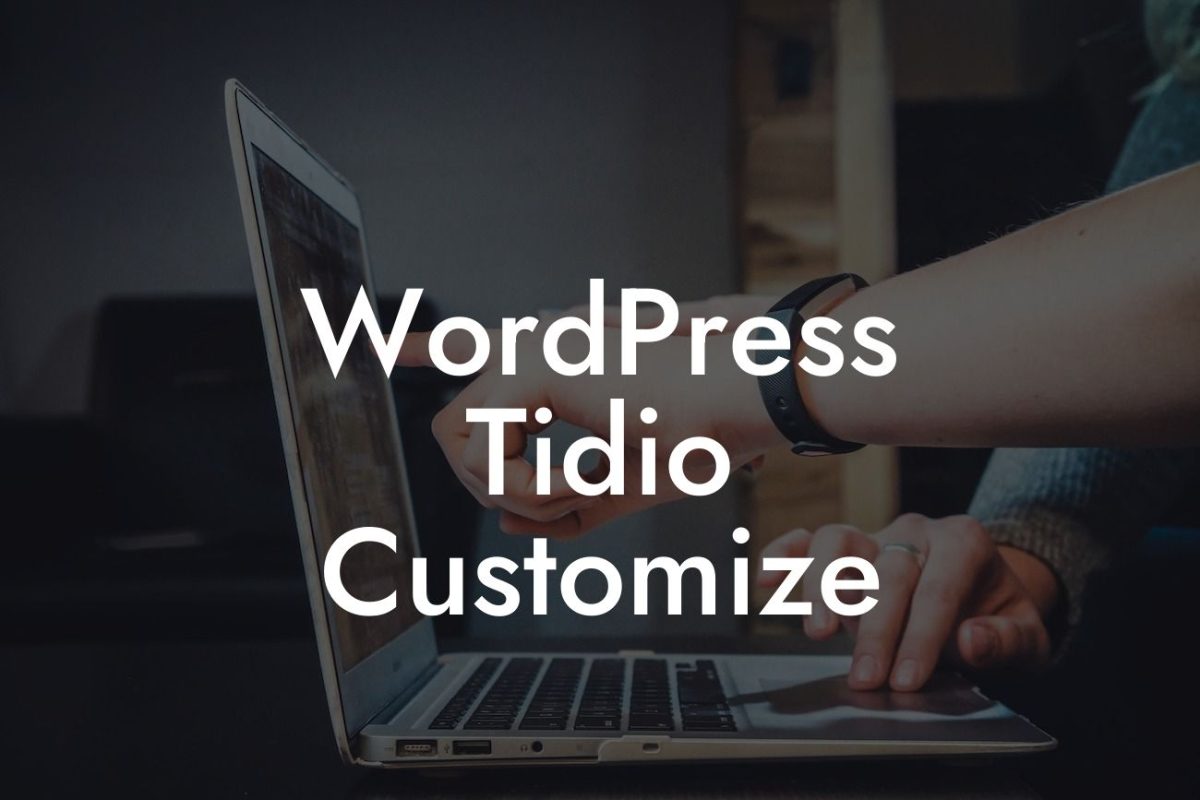 WordPress Tidio Customize