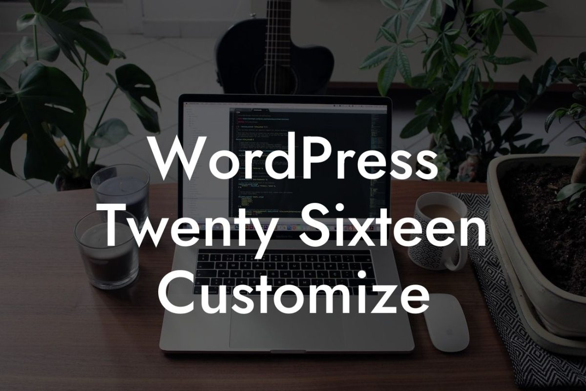 WordPress Twenty Sixteen Customize