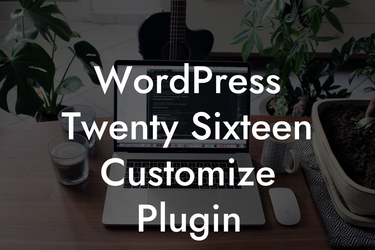 WordPress Twenty Sixteen Customize Plugin
