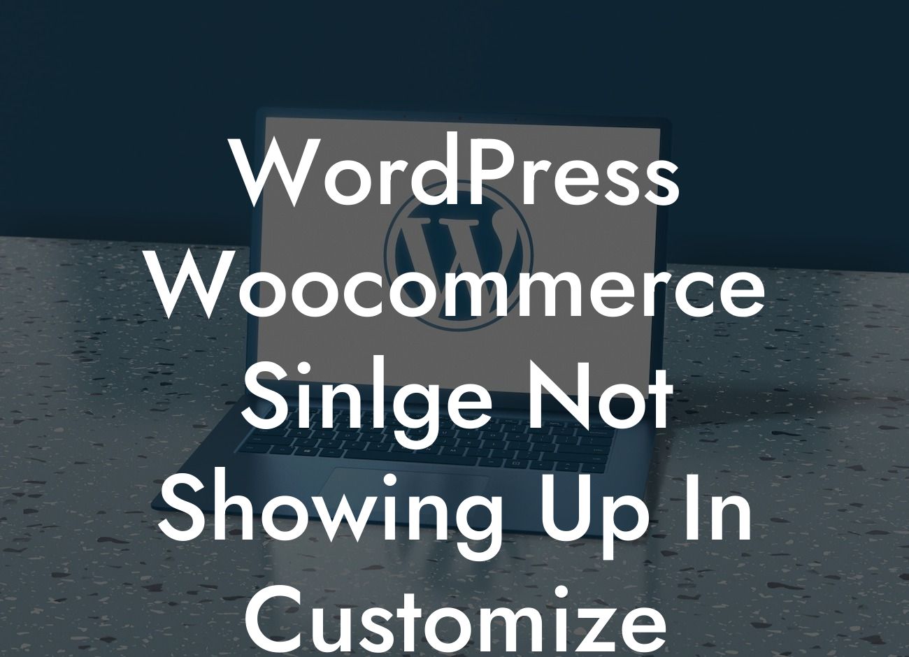 WordPress Woocommerce Sinlge Not Showing Up In Customize